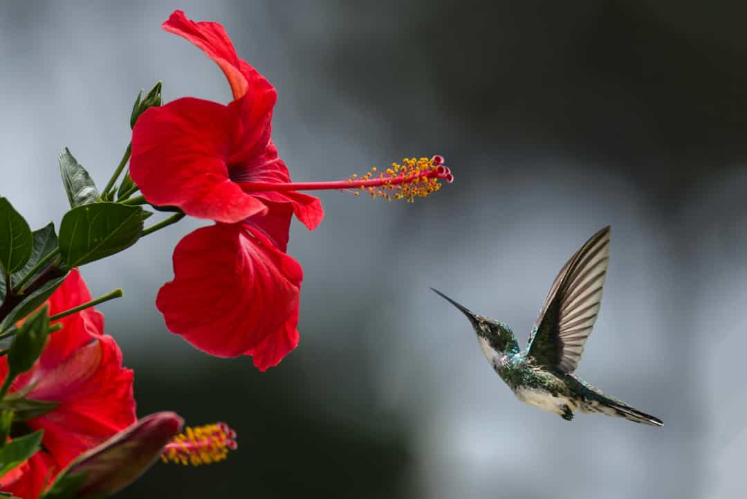 Unique Nature-Inspired Names – A Breath of Fresh Air with a Hint of the Wild